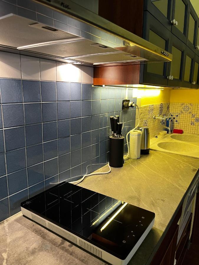 Turquoise Rose Apartment Peccioli Dış mekan fotoğraf